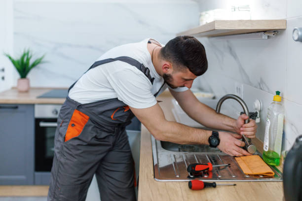 Best 24-Hour Plumber Near Me  in Audubon, IA