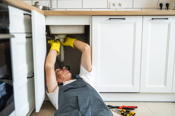 Best Water Softener Installation  in Audubon, IA